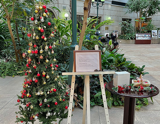 チャリティークリスマスツリー募金のご報告
