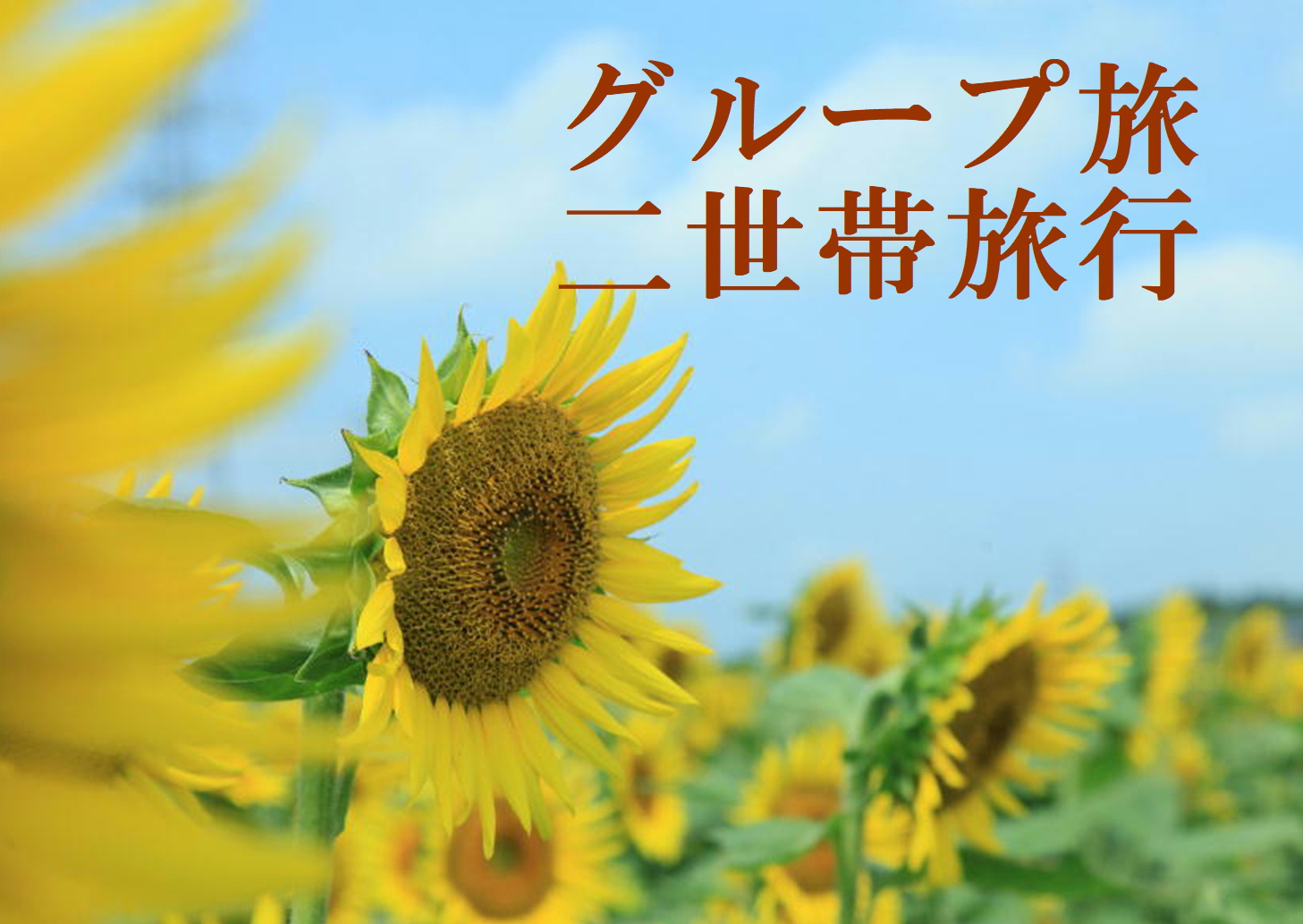 【グループ旅】3名以上で♪選べる客室タイププラン★素泊り★