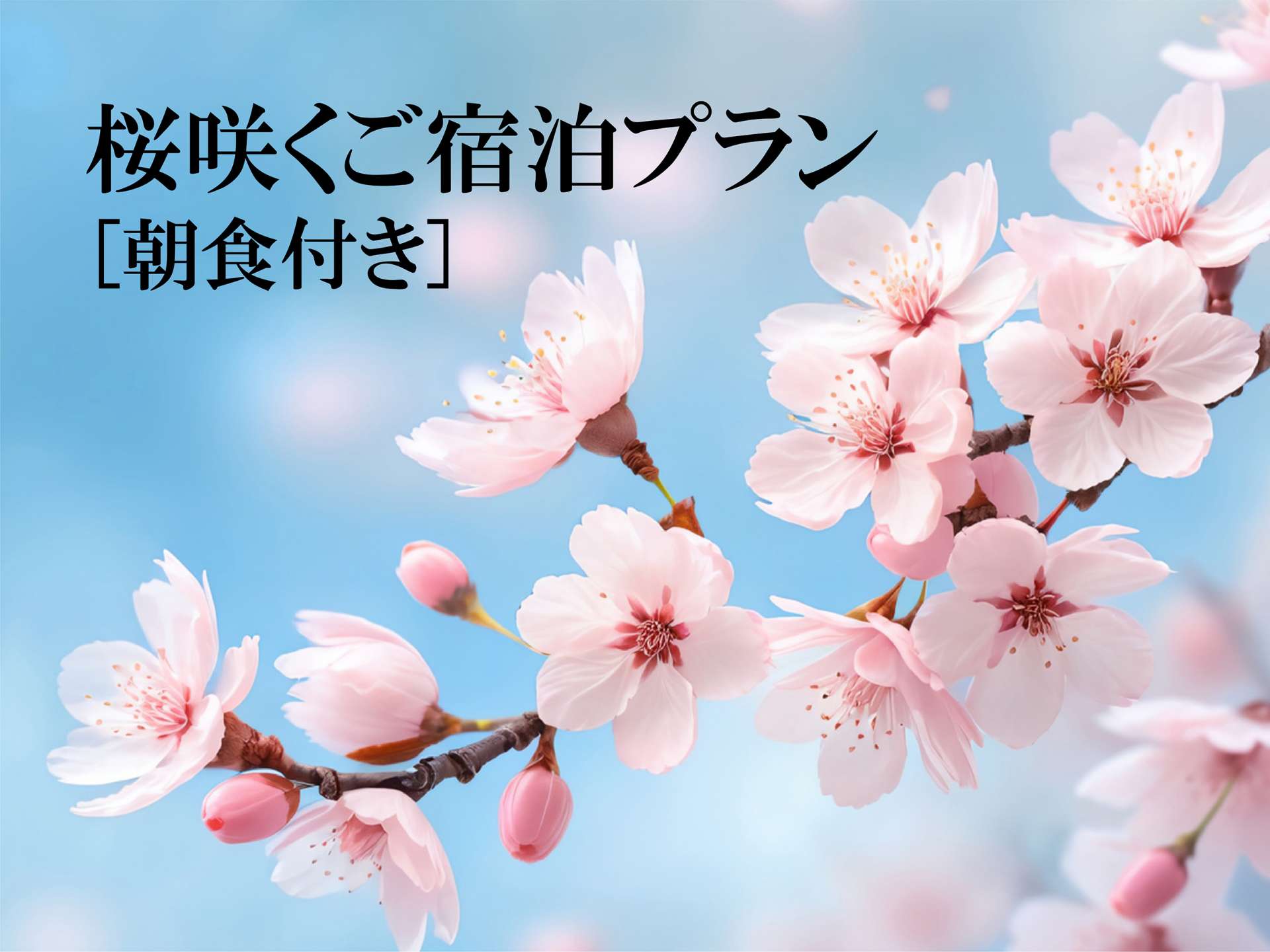 ◇朝食付◇桜咲くご宿泊プラン