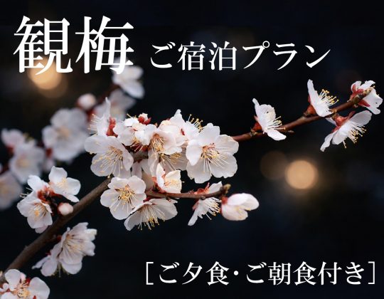 【大好評!!】観梅宿泊プラン2026~ご夕食とご朝食付き~