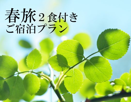 ◇朝夕２食付◇　春旅宿泊プラン＜和洋中から選べる＞