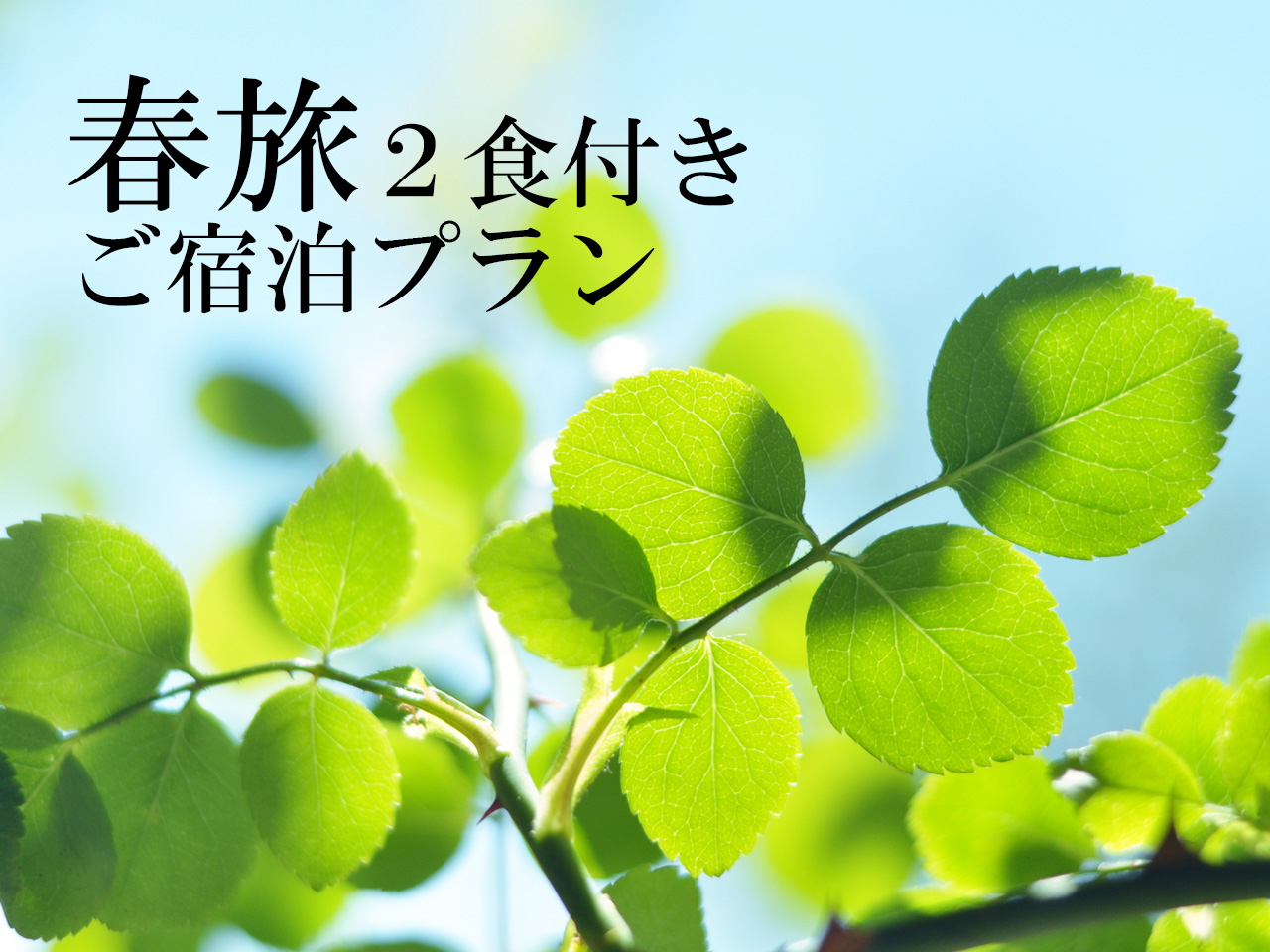 ◇朝夕２食付◇　春旅宿泊プラン＜和洋中から選べる＞