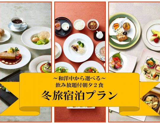 ◇朝夕飲み放題2食付◇ 冬旅宿泊プラン<和洋中から選べる>