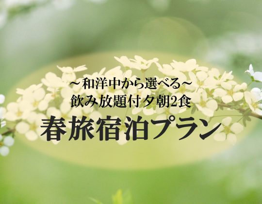 ◇朝夕飲み放題2食付◇ 春旅宿泊プラン<和洋中から選べる>
