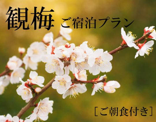 【大好評!!】観梅宿泊プラン2026~ご朝食付き~