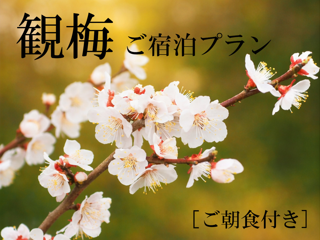 【大好評!!】観梅宿泊プラン2026~ご朝食付き~