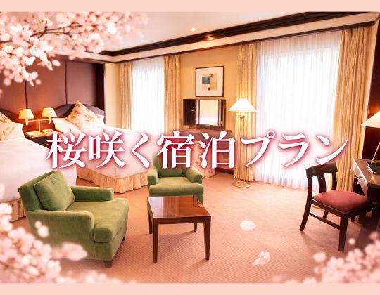 桜咲くご宿泊プラン　～朝食付～