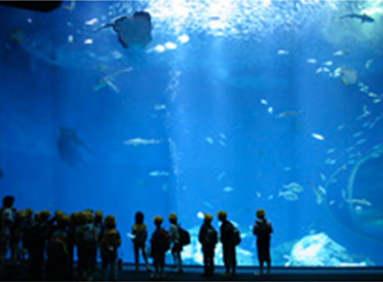 海上世界 茨城縣大洗水族館